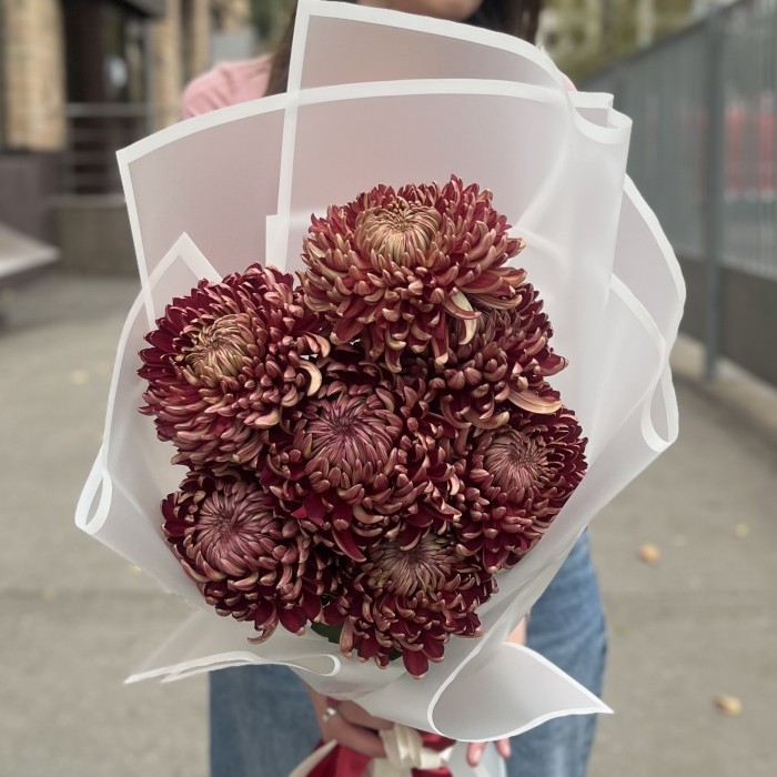 7 бордовых хризантем