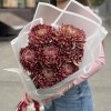 7 бордовых хризантем