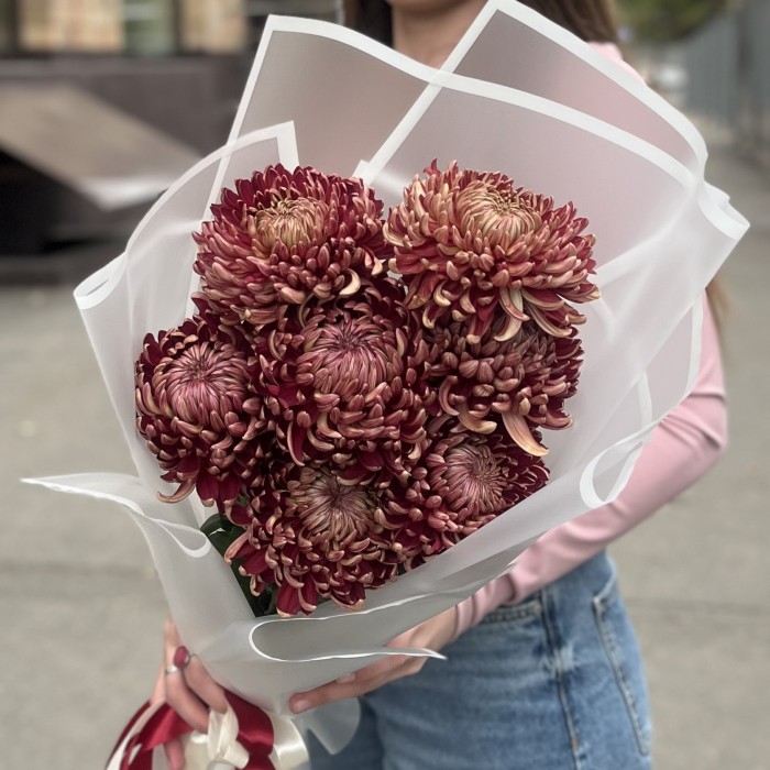 7 бордовых хризантем