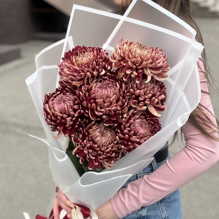 7 бордовых хризантем
