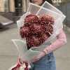 7 бордовых хризантем