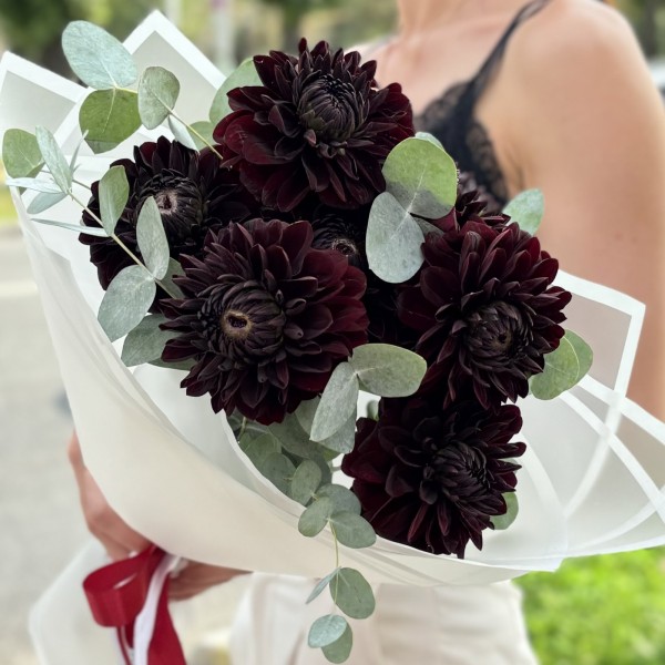 7 черных георгин с эвкалиптом