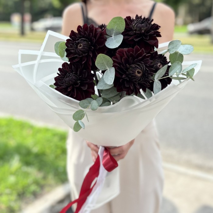 7 черных георгин с эвкалиптом