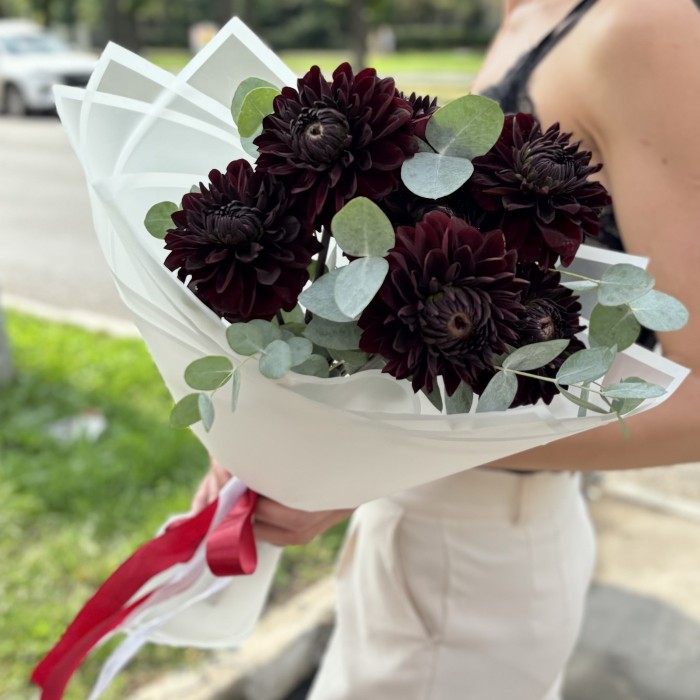 7 черных георгин с эвкалиптом