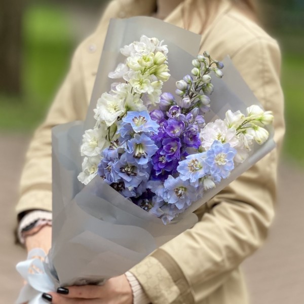 7 дельфиниумов микс