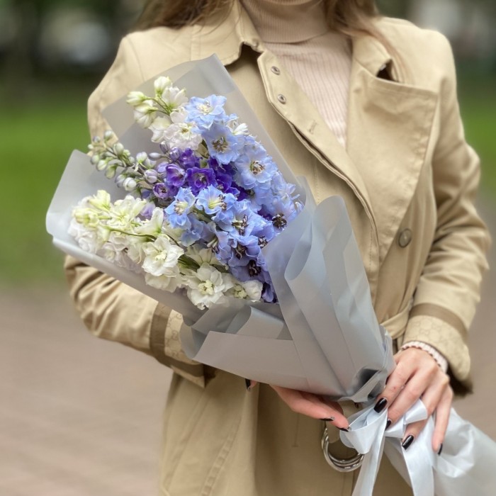 7 дельфиниумов микс