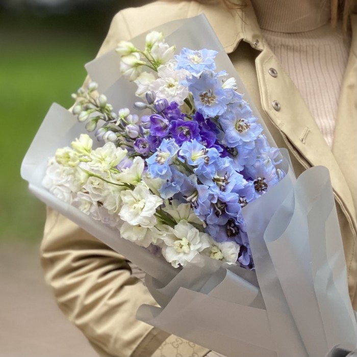 7 дельфиниумов микс