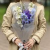 7 дельфиниумов микс