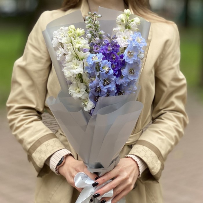 7 дельфиниумов микс