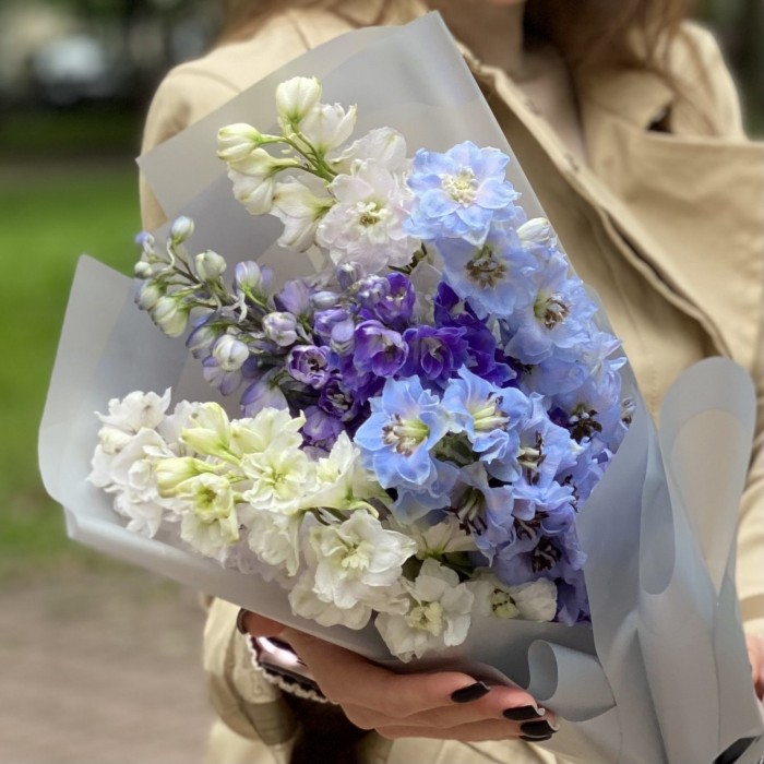 7 дельфиниумов микс