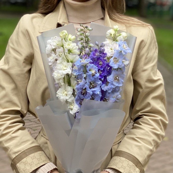 7 дельфиниумов микс