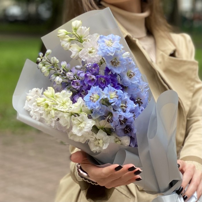 7 дельфиниумов микс