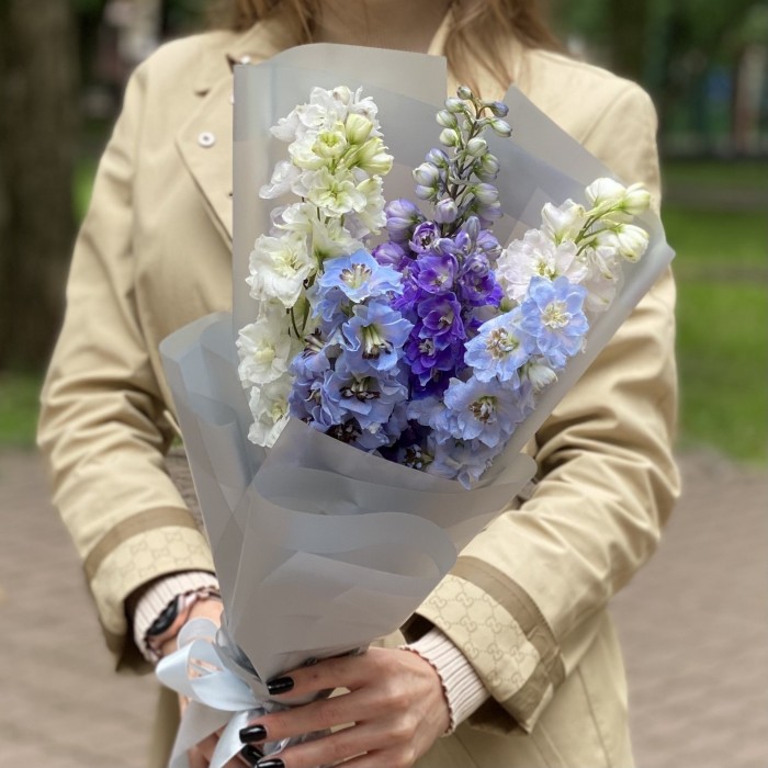 7 дельфиниумов микс