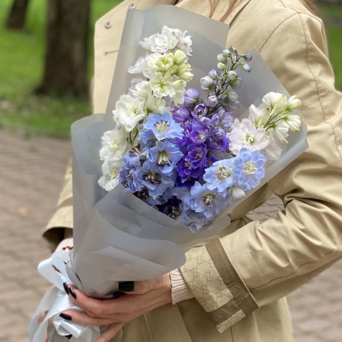 7 дельфиниумов микс