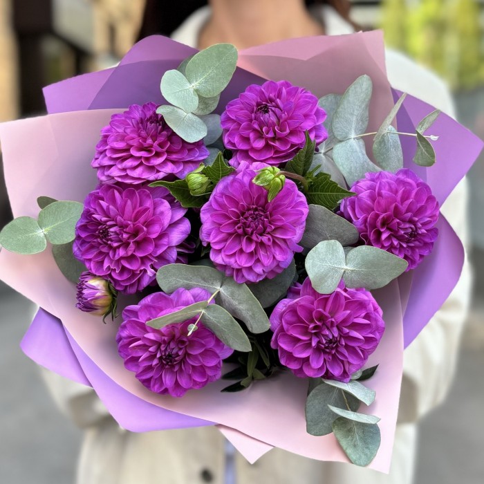 7 фиолетовых георгин с эвкалиптом