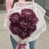 7 фиолетовых хризантем