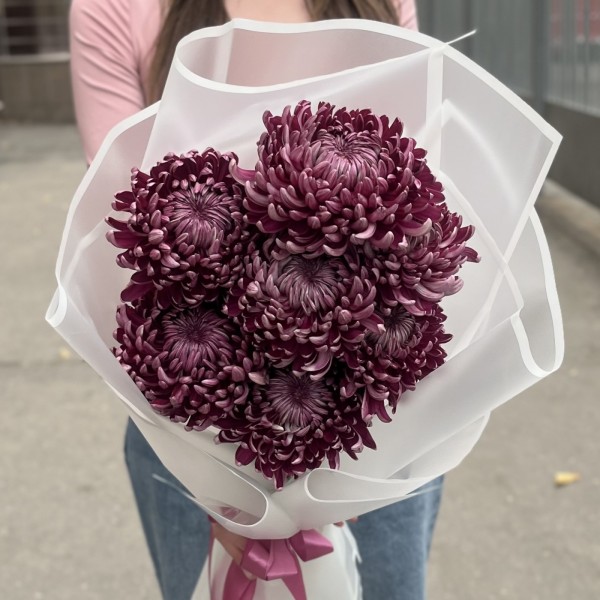 7 фиолетовых хризантем