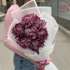 7 фиолетовых хризантем