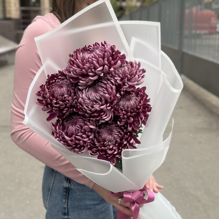 7 фиолетовых хризантем