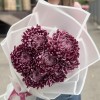7 фиолетовых хризантем