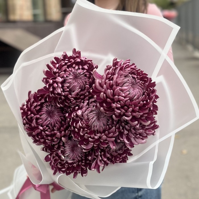 7 фиолетовых хризантем