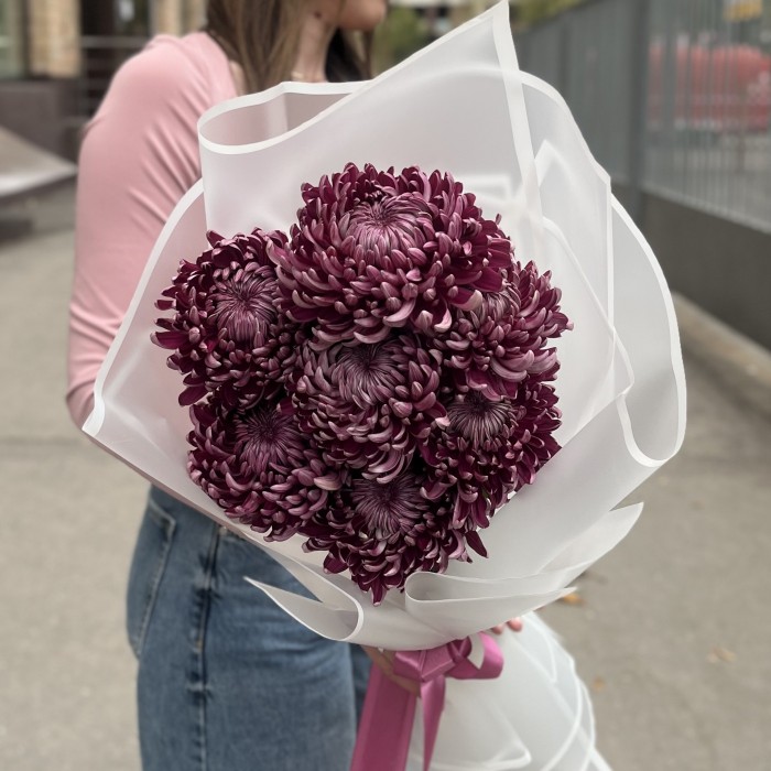 7 фиолетовых хризантем