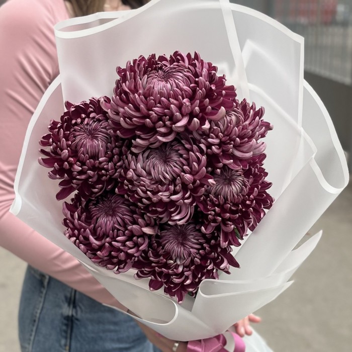 7 фиолетовых хризантем