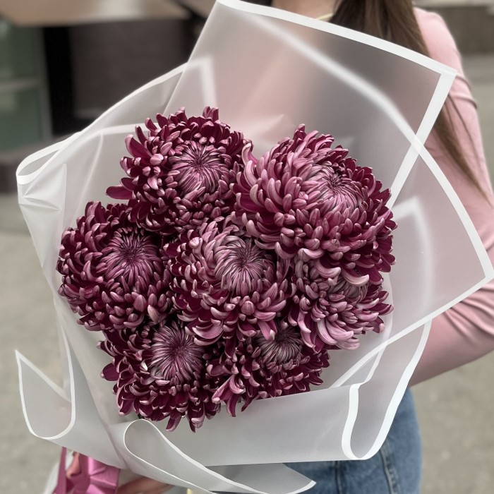 7 фиолетовых хризантем