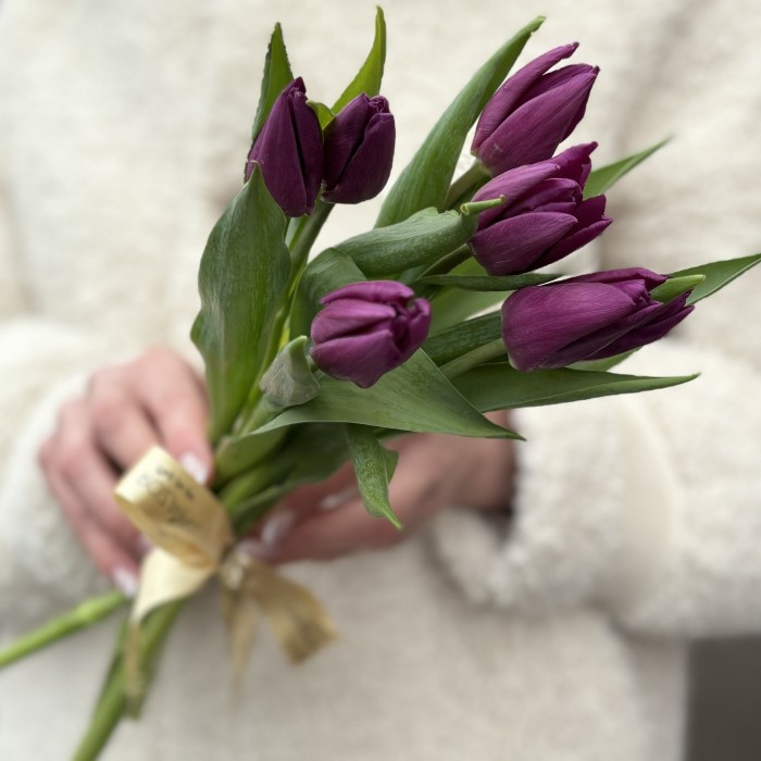 7 фиолетовых тюльпанов