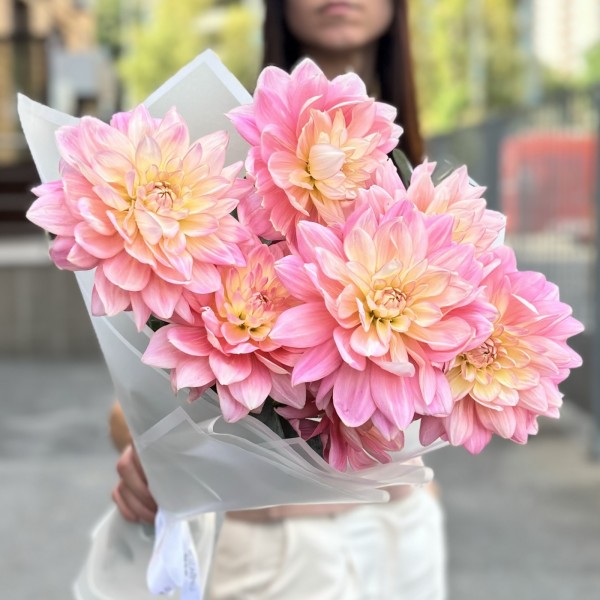 7 георгин Диана Мемори