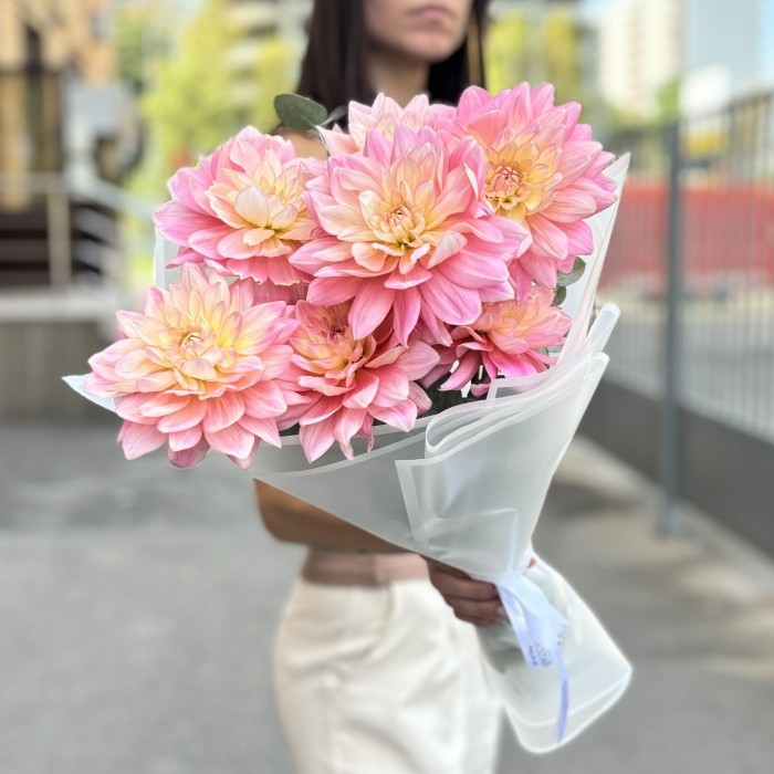 7 георгин Диана Мемори