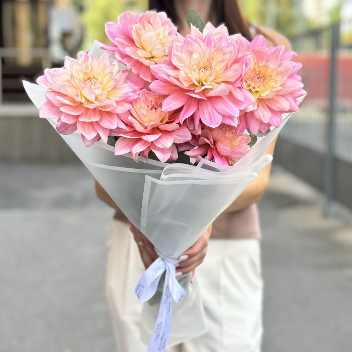 7 георгин Диана Мемори