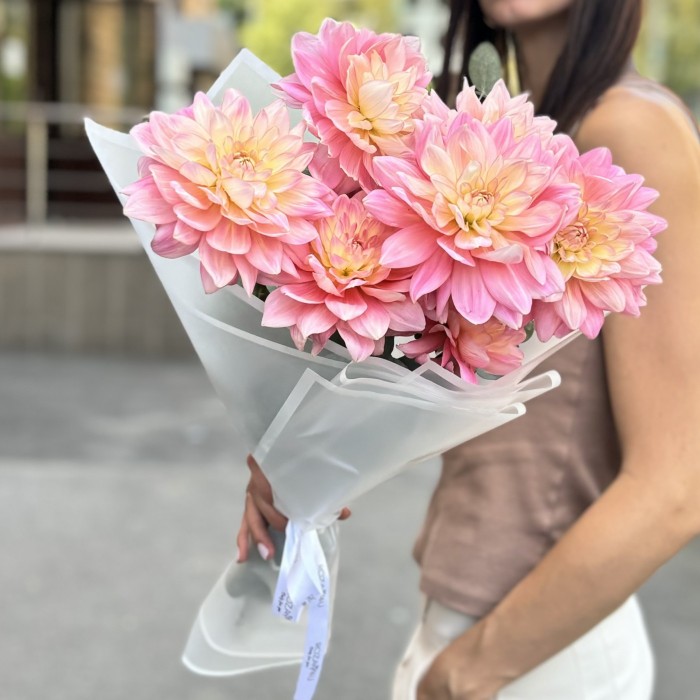 7 георгин Диана Мемори