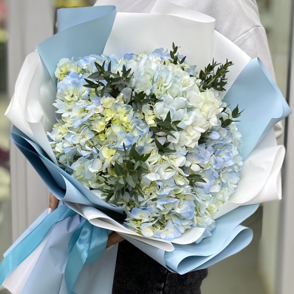 7 голубых гортензий с эвкалиптом