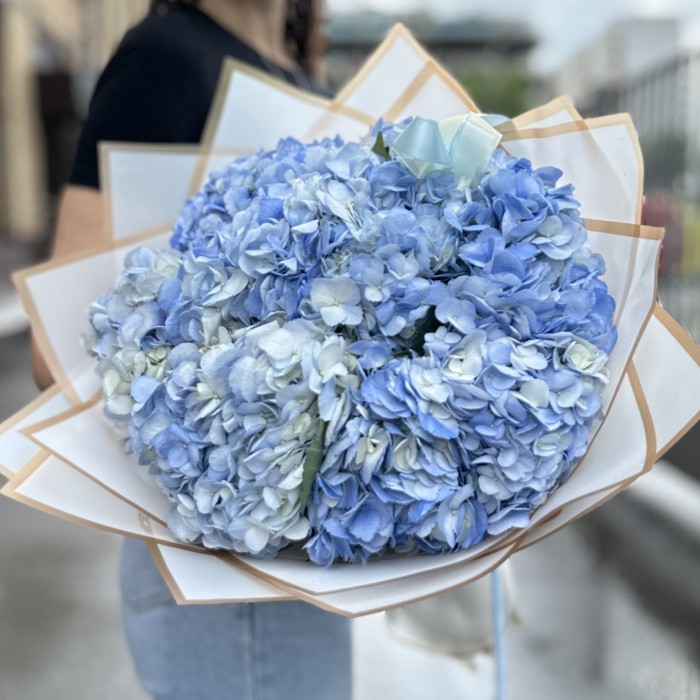 7 голубых гортензий