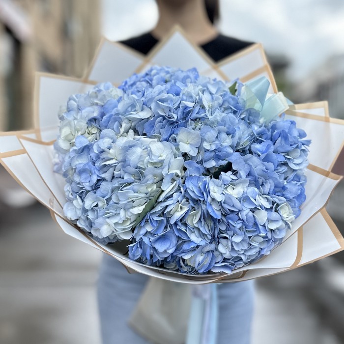 7 голубых гортензий
