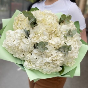 7 гортензий Вайт глиттер с эвкалиптом