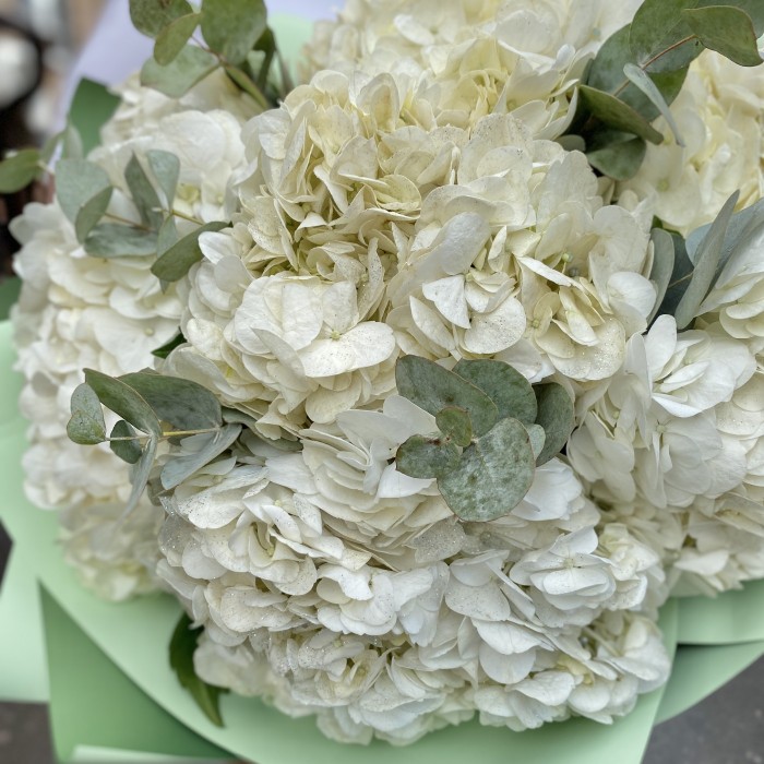 7 гортензий Вайт глиттер с эвкалиптом