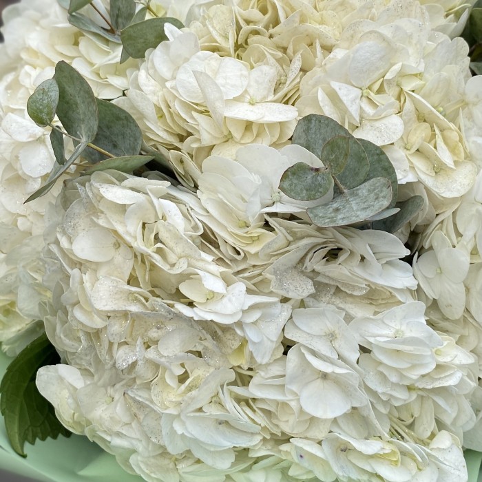 7 гортензий Вайт глиттер с эвкалиптом