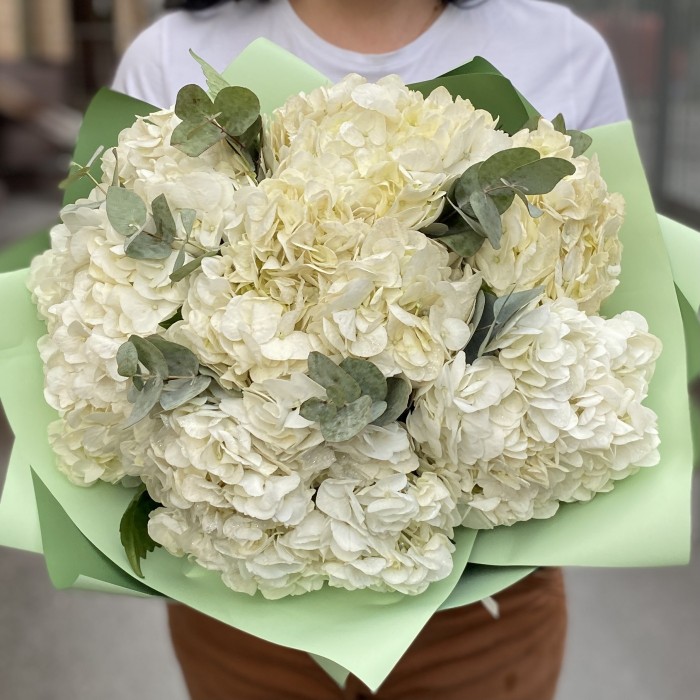 7 гортензий Вайт глиттер с эвкалиптом