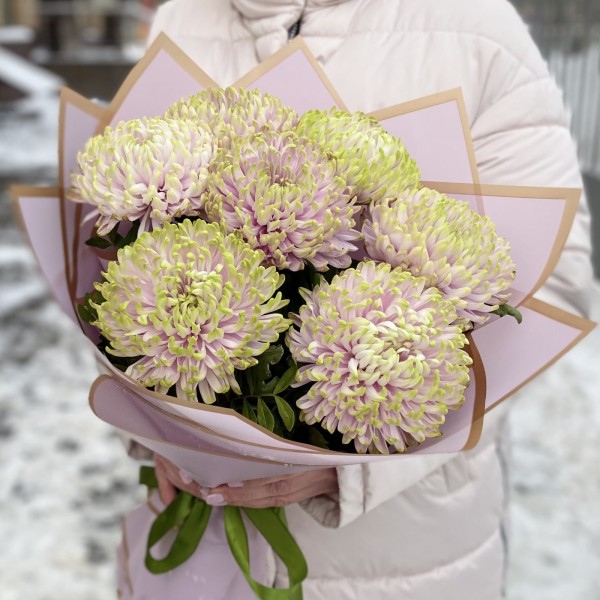 7 сиренево-зеленых хризантем Зембла