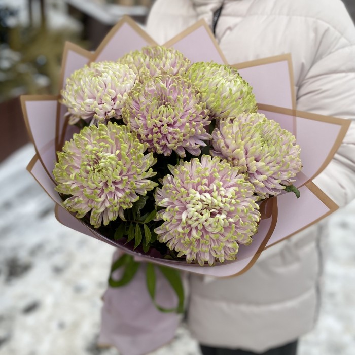 7 сиренево-зеленых хризантем Зембла
