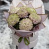 7 сиренево-зеленых хризантем Зембла