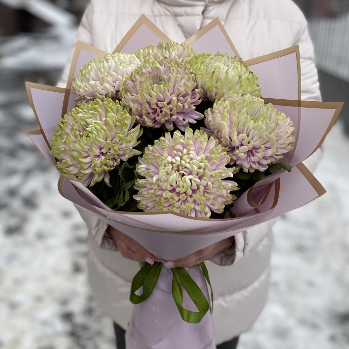 7 сиренево-зеленых хризантем Зембла