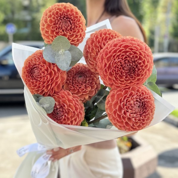 7 коричнево-желтых георгин Помпон