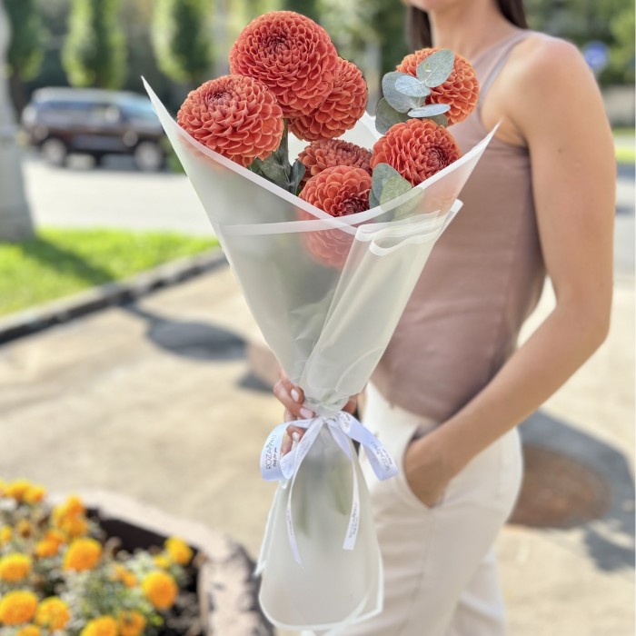 7 коричнево-желтых георгин Помпон