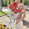 7 коричнево-желтых георгин Помпон