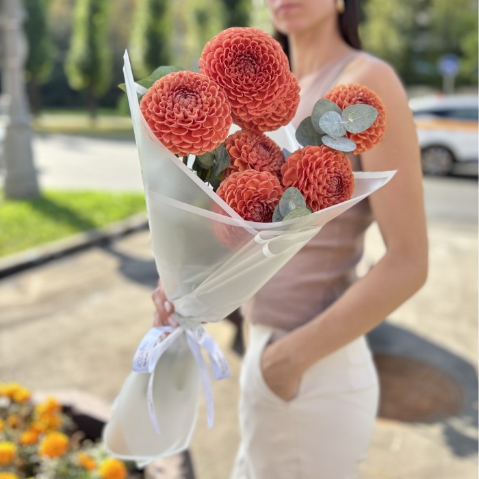 7 коричнево-желтых георгин Помпон