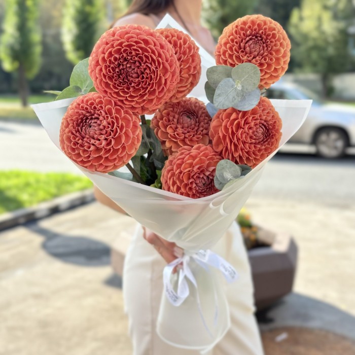 7 коричнево-желтых георгин Помпон