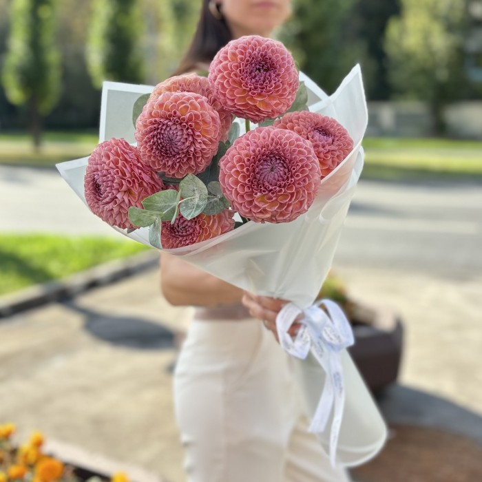 7 коричнево-желтых георгин Помпон